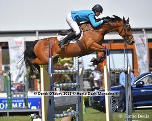 Amanda Madigan representing NSW placed 3rd in the Australian Mini Prix Championship riding "Diamond B Vivienne"
