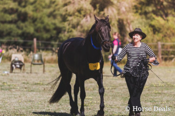 Noble shadow Jarnica & Charyse May- Spanish Workout