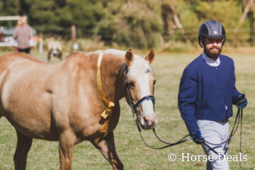 Yalkin Galesa & Chris Merullo- Reserve Champion Ridden Partbred Female