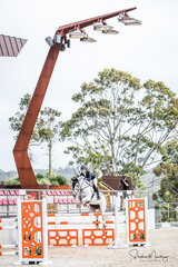 Georgia Price and 'Berlucci' place 4th in the Junior Final