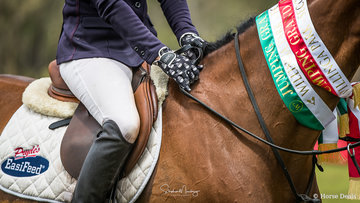 Vicki Roycroft's riding gloves !!