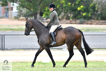 Showing enthusiast, Fiona McIntyre is pictured during the First Season Show Hunter Hack Final riding her own and Jonathon Lumsden's 16hh plus, 'Foxbridge'.