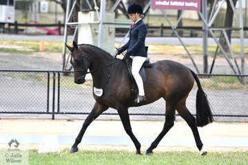 Not much rest for new mother, Tamara Lee. The successful showing professional is pictured aboard the Lee Family nomination, 'Empress Theodora' (15.2-16hh) that was declared Reserve Champion First Season Show Hunter Hack. '