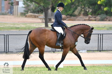 Emma Nicol is pictured aboard her, 'Twohearts Meltdown' during the Final of the 2019 VAS First Season Show Hunter Hack Championship.