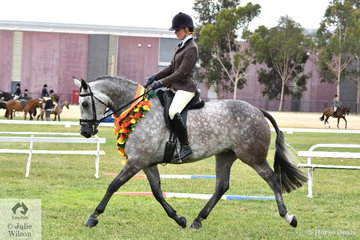 Megan Cheeseman rode the Future Farms nomination, 'Regal Jive FF' by Jive Magic (imp) out of Romance FF to claim the First Season Show Hunter Hack Championship.