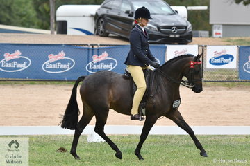 Hayley and Zhoe Willison's, 'Alpine Park Tidal' is pictured during the Rising Star Large Pony Final.