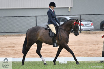 Eliza Green rode her, 'Like A Boss' to claim the 2019 VAS Rising Star Hack/Show Hunter Championship.