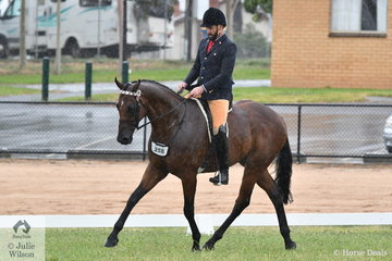 David Adams rode his, 'Kingsley' (Over 16.2hh) to make the 2019 VAS First Season Hack Final.