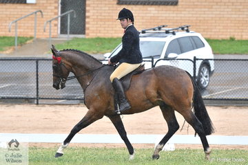Grave Ivill's, 'Bolivar' ridden by Daniel McNamara made the First Season Hack Final.