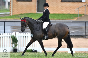 Kathleen Mullan rode her own, 'Divinity' to claim the 2019 VAS First Season Hack Championship. They were also declared Reserve Champion Rising Star Hack/Show Hunter.