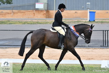 Well performed breeder and exhibitor, Alandi Durling won the class for Amateur Owner Rider Hack Over 15hh with her home bred, 'Sienna Conchetta' and went on to claim the Champion Amateur Owner  Exhibit award.