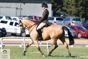 Megan Cheeseman rode the Sabble Farms and Future Farms nomintion, 'Gleniph Tiramisu' to take out the 2019 VAS Show Hunter Galloway Final.