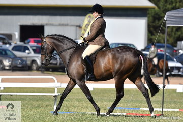 Well known and successful showing exhibitor, Michelle Bryant made Show Hunter Galloway Top Five with her, 'Karlana You'r Welcome'.