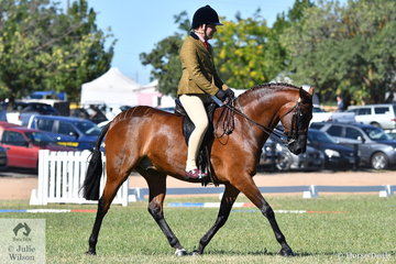 Daniel McNamara took the catch ride on Georgina Read's, 'Murraydale Park Kane' and rode away with the 2019 VAS Show Hunter Galloway Championship.
