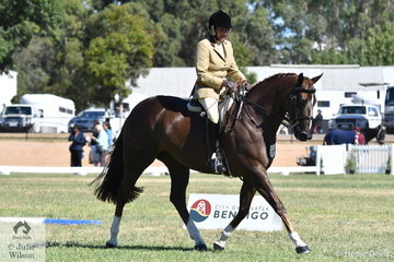 Always amongst the major prizes, Shelley Penny rode her, 'Sheldene Delago' to claim the Small Show Hunter Hack Reserve Championship.