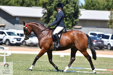 Nicole Toll's, 'Lyndam Park Armani' made Small Hack Championship Top Five.