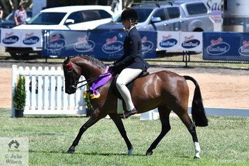 Michelle Paynter rode Naomi Landmeter's, 'Rokewood Tiger Moth' to claim the 2019 VAS Small Pony Reserve Championship.