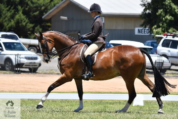 It was good to see Megan Cheeseman back in action with the impressive, 'Gleneagles Giorgio' that made Top Five in the Large Show Hunter Hack Championship.