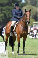 Marci Worland is pictured aboard her lovely big horse, 'Queens Guard' that raced as, Dubai To Dublin, during the EA Hack classes.