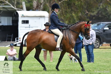 Georgia Adams rode her, 'Riversea Park Repertoire' to win the EA class for Open Galloway 14-14.2hh.