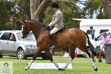 Certainly value for money. Brian Scholes rode his super, 'A Welcome Stranger' to claim the EA Show Hunter Hack Championship.