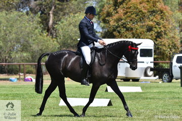 Reece Lawson rode  Trudy Kelly's, 'Beaumont King Of Kings' to claim the Riding Pony Society Over 14.2hh Hack/Show Hunter Supreme Championship.