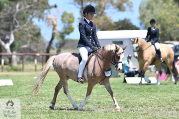 Kayla Gell rode Lillian Cooke's, 'Kawanna Park Napoleon' to claim the APSB ring Ridden Welsh Championship.