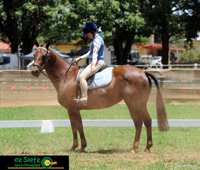 At her first Pony Club Jamboree, 15 year old Kiara Charlton and her mare, Frizzle competed in the Prelim 1.2 Dressage on the first day of the 2019 Kingstown Jamboree.