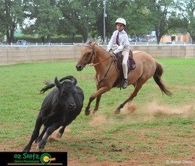 Last out to compete in the 9 years and Under 11 Campdraft on Friday was Jack Sinclair and Sisco from Inverell at the 2019 Kingstown Jamboree.