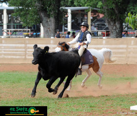 With a pony not much bigger than the beast he was chasing, Cameron Magann and Shamrock Lodge Mia had a great run out in the 11 years and under 13 Campdraft at the 2019 Kingstown Jamboree.