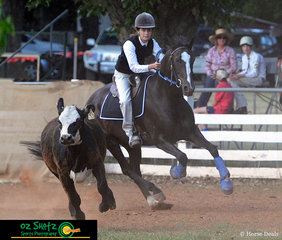 Oz shotz staff member Abbey McLoughlin had the weekend off to ride her 15yr old Australian Stock Horse, Nugget in the 15 years and Under 17 Campdrafting at the 2019 Kingstown Jamboree.