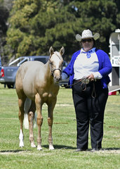 HOLLYWOOD RORSHACH, OWNED BY LISA COLEMAN