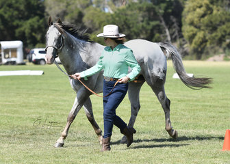 ELLSAN MAGNIFICENT DREAMS SHOWN AT HALTER BY SARAH MCDONALD