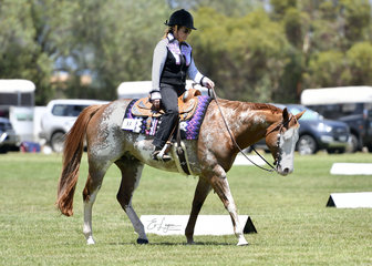 SHAMEELICIOUS RIDDEN BY ANNE MARSHALL IN WESTERN PLEASURE