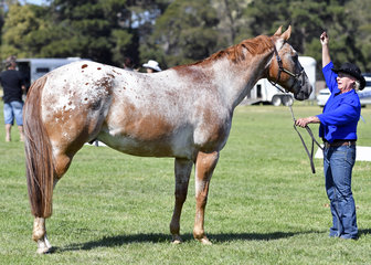 FYNNLEE OAKEY DOKEY AND KAREN BURGESS