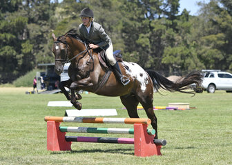 SIRSPOTS ALOT RIDDEN BY JANE RILEY IN THE HUNTER HACK CLASS