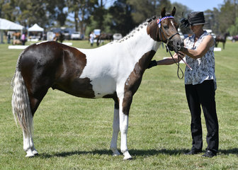 LEJAST FALLING IN LOVE SHOWN BY AMANDA ORGAN, SHOWN IN LED HACK
