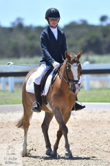 Erica D'alia rode Pencil Pine Lugui to seventh place in the MotorOne Participation Preliminary 1.2 Junior.