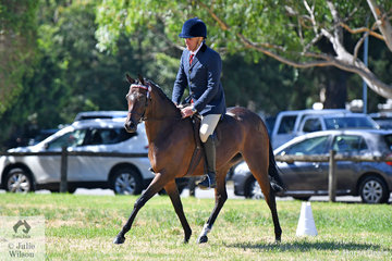 Back in the saddle and doing well, Paul Dunstan is pictured aboard his and Kerry Dunstan's, 'Malibu Park Fame'. At her first show under saddle, Fame was declared Best Novice Ridden Exhibit.