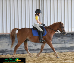 Isabelle Condon riding her pony Splash during Vivian Wearing flat work lesson on Saturday at the Burpengary Equestrian Centre.