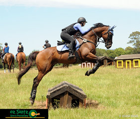 Over the houses on the cross country with Rebel Morrow, Jordyn Fisher on her 16.3hh Thoroughbred gelding, Swinging at the Burpengary Summer School. 