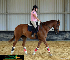 On her 7 year old thoroughbred Illuminates, Kerrily Watts grew with confidence under Show Horse instructor, Kim Durante's watchful eye.