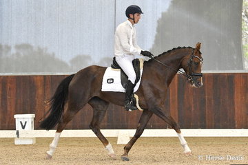 Jackson Stern is pictured aboard, 'Redwood Burlesque' during round one of the Four Year Old Young Dressage Horse class.
