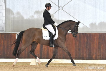 David Boyle rode 'Bachelor' in the 5yo Young Horse Round One.