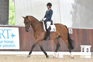 Rhianon Pettigrove riding 'AEA Tuscany' took sixth place in the 6 yo Young Horse Round One.