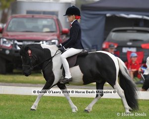 Reserve Champion in the APSB Child's Shetland rider under 14yo, "Kimba Karrue" ridden by Jessica Sharp exhibited by Kellie Webster