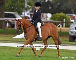 "Harrington Park Design" was in the Top Ten in the Child's Large Pony, ridden by Zara Missen and exhibited by Kristie Missen
