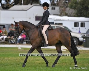 Reserve Champion in the Child's Hack rider under 17yo, Fearless FF ridden by Jessica Dertell, exhibited by Kate Dertell, Future Farms