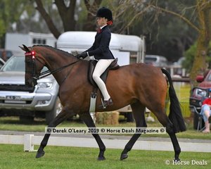 "Valeview Asio" was in the Top Ten in the Child's Hack rider under 17 yo, ridden by Keeley Dykes exhibited by Sue-Ellen Latham