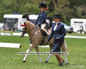 Champion Open Leading Rein Pony, "Picturesque Prince" ridden by Madison Borthwick, exhibited by Erin Bowers.